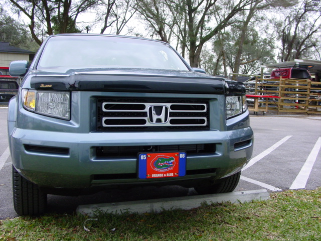 Bug Shields/Hood Guards - Image 7