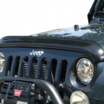 Bug Shields/Hood Guards - Image 4