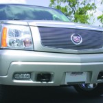 T-Rex Grille Inserts - Image 2