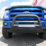 Bull Bars - Image 2