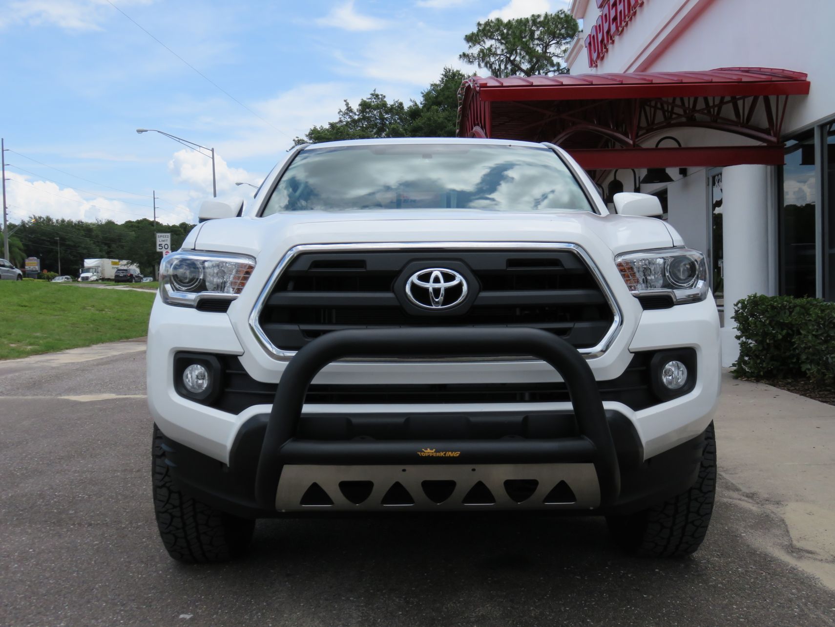 Bull Bars and Grill Guards